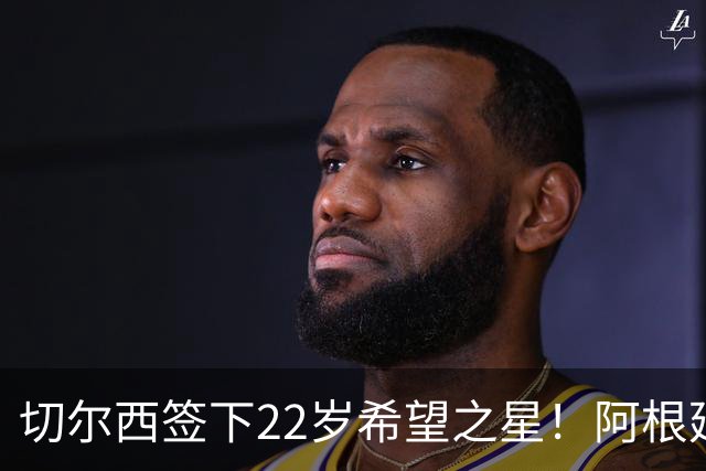 切尔西签下22岁希望之星！阿根廷中场新势力，内部人员调动很划算