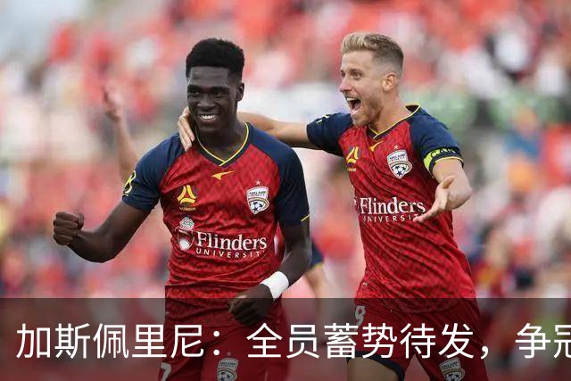 加斯佩里尼：全员蓄势待发，争冠话题暂时搁置