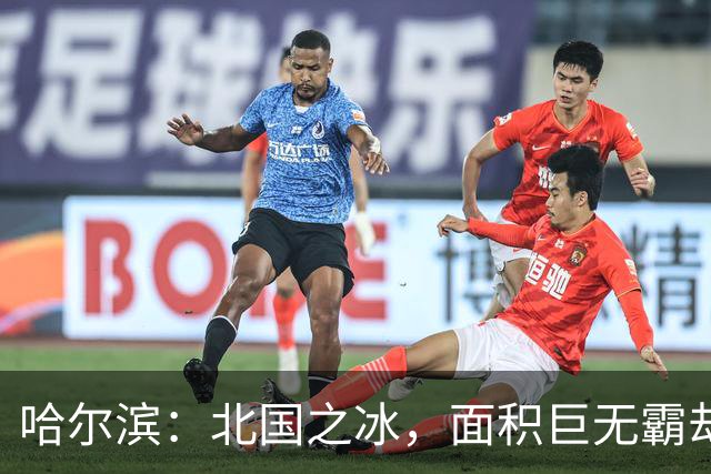 哈尔滨：北国之冰，面积巨无霸却GDP小跳蚤