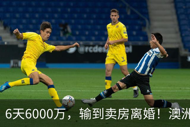 6天6000万，输到卖房离婚！澳洲终于下狠手了！